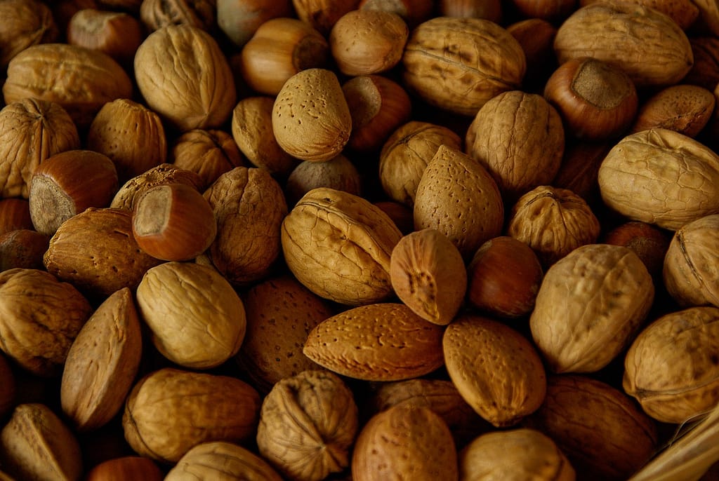 Top 10 Vegan Protein Sources
